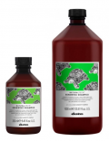 Davines (Давинес) Обновляющий шампунь (Renewing Shampoo), 250/1000 мл.